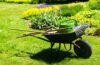 lawn care in Laurel, MD