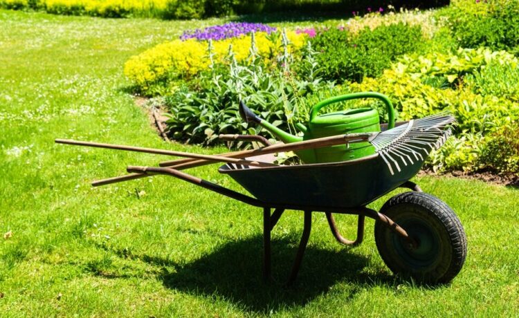 lawn care in Laurel, MD