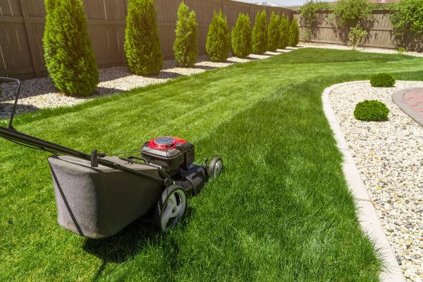 Essential Guide to Lawn Care